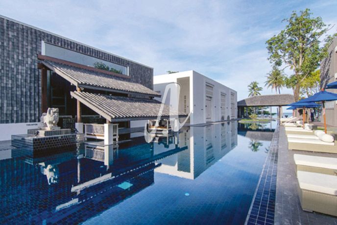 Các loại gạch ốp bể bơi